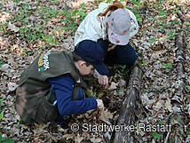 Unterricht im Naturpark