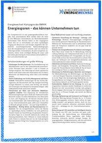 Leitfaden des BMWK (Bundesministerium für Wirtschaft und Klimaschutz) "Energiewechsel im Unternehmen". 