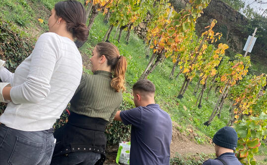 Stadtwerke Rastatt Azubis bei Renaturierungsaktion